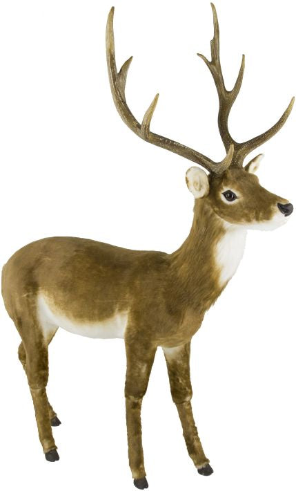 Standing Deer, LG 54X67"