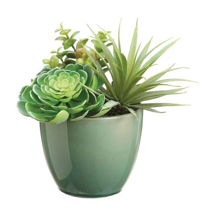 10 succulent planter Succulent Garden 10" – The Holiday Store