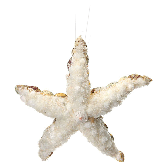 Starfish Ornament 6.5"