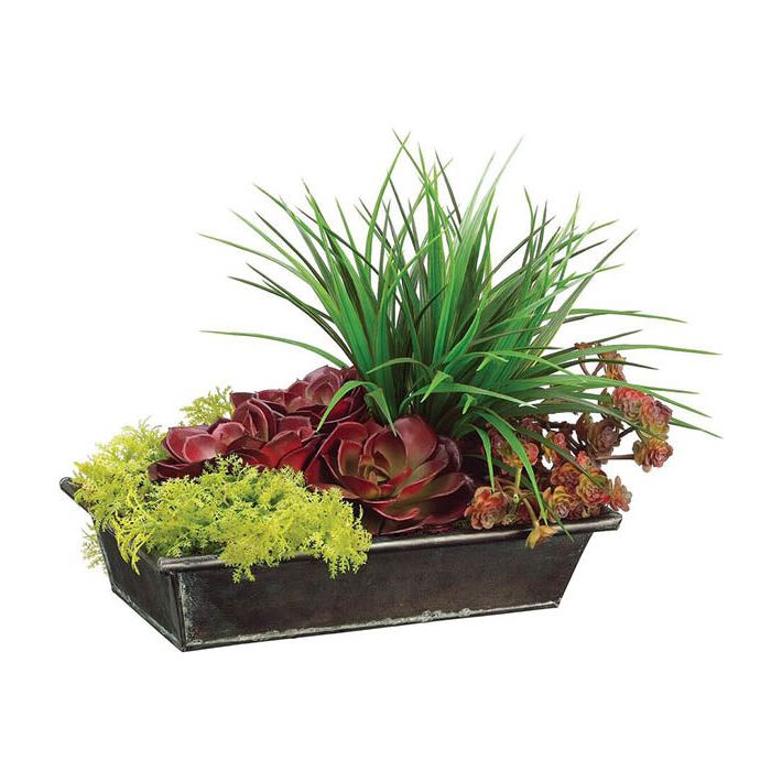 Echeveria/Grass 11" H 15"W 10"L