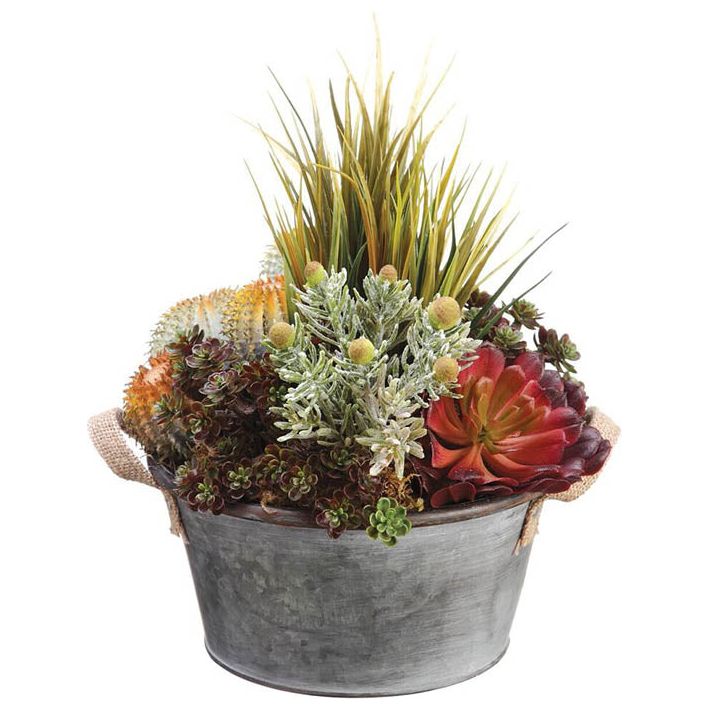 succulents online store Succulents/Grass 12" – The Holiday Store