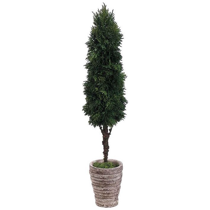 Cedar Cone Topiary 25"H 5"W 5"L