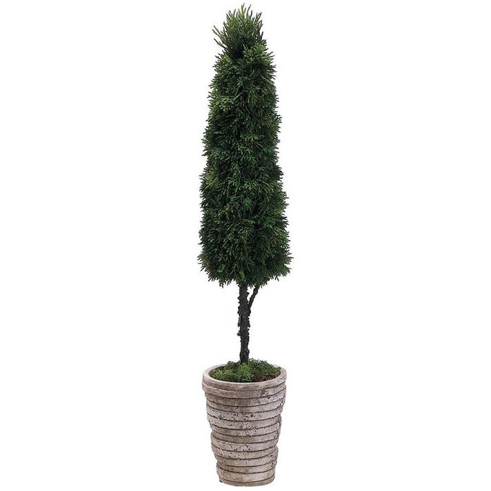 Cedar Cone Topiary 32"H6"W 6"L