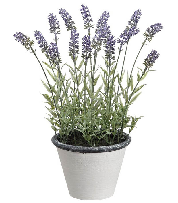 Lavender/Pot 15.5"