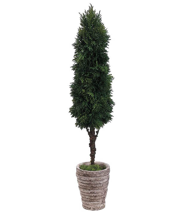 Cedar Cone Topiary 25"H 5"W 5"L