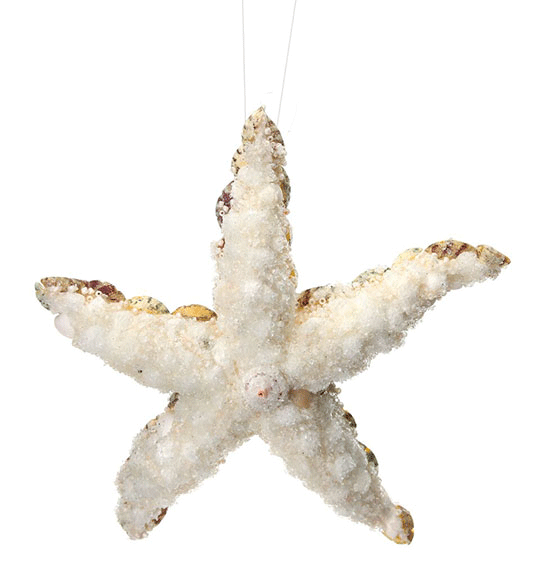 Starfish Ornament 6.5"
