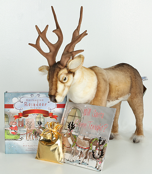 Enchanted Reindeer Book